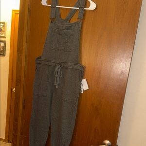 Wallflower Charcoal Denim Overalls